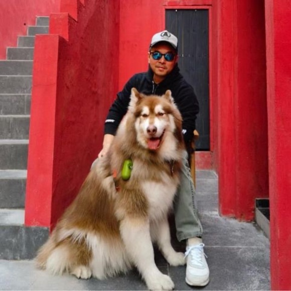 Meet your Posher, Daniel - Picture 1 of 1